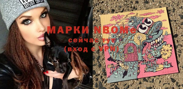 apvp Пестово