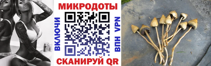 Псилоцибиновые грибы MAGIC MUSHROOMS  Змеиногорск 